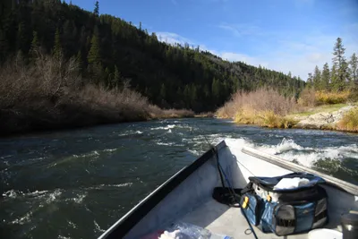 DSC_0238 (Large).JPG